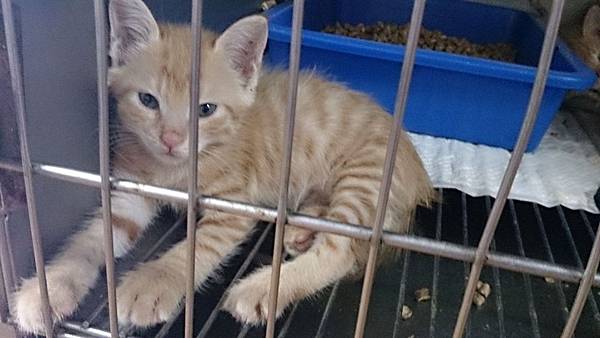 2013-09-07 10.20.42.jpg