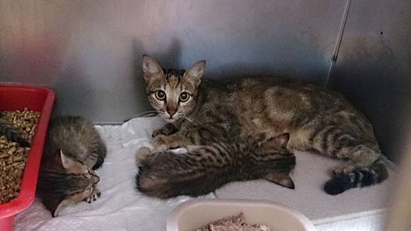 2013-09-07 10.21.00.jpg