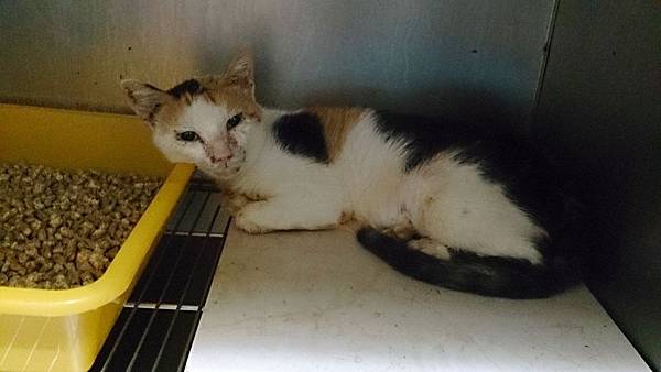 2013-09-07 10.21.35.jpg