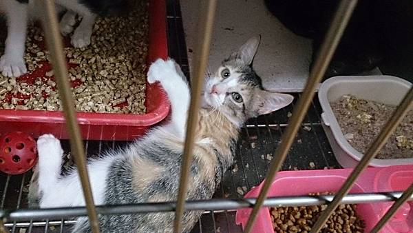 2013-09-07 12.05.41.jpg