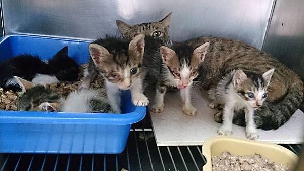 2013-09-07 12.08.52.jpg