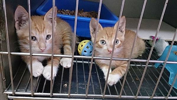 2013-09-07 12.14.31.jpg