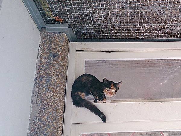 2013-09-07 10.22.22.jpg