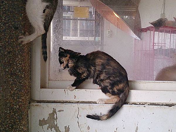 2013-09-07 10.22.26.jpg