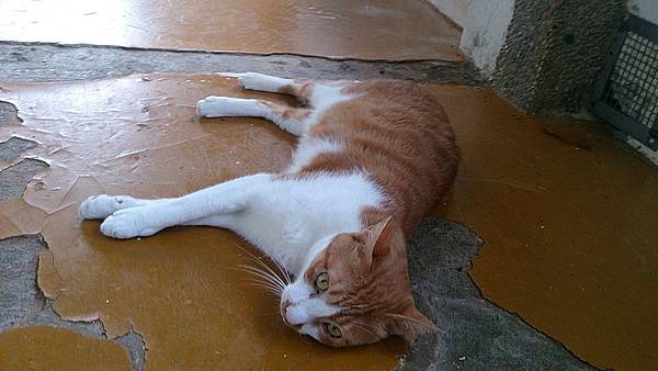 2013-09-07 10.23.09.jpg