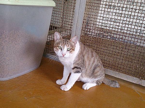 2013-09-07 10.23.43.jpg