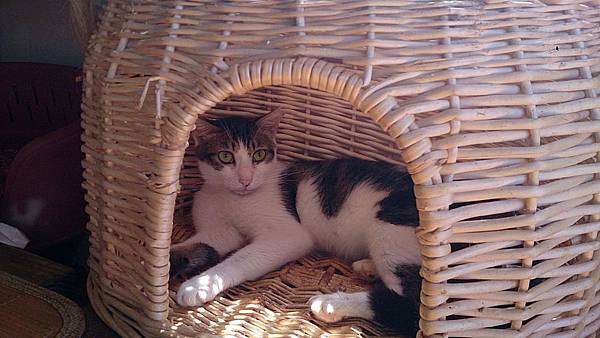 2013-09-07 10.24.30.jpg