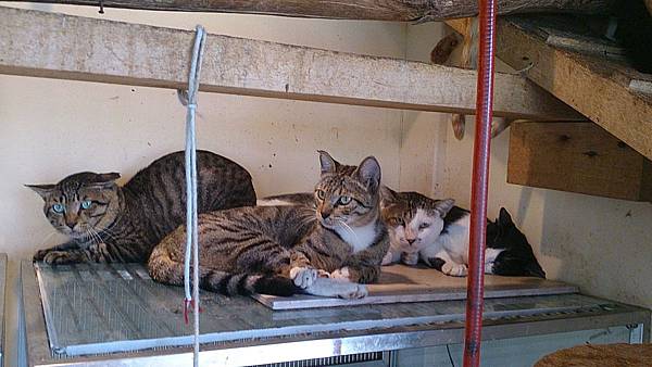 2013-09-07 10.25.02.jpg