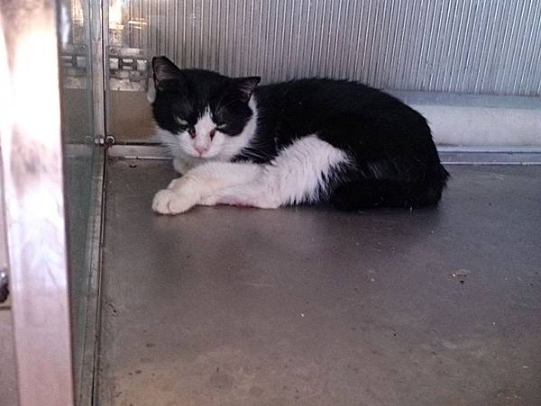 2013-09-07 10.25.31.jpg