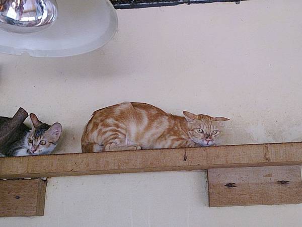 2013-09-07 10.25.55.jpg