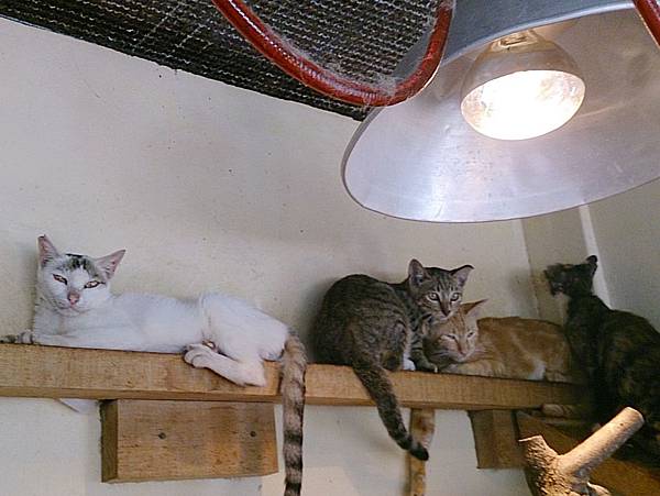 2013-09-07 10.25.59.jpg