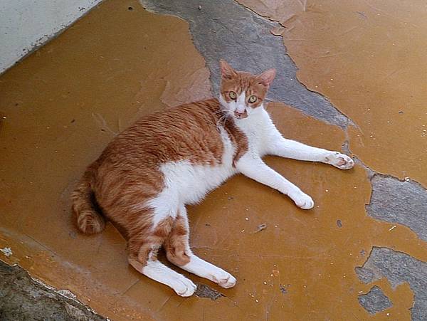 2013-09-07 10.27.02.jpg