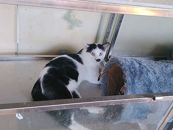 2013-09-07 10.28.43.jpg