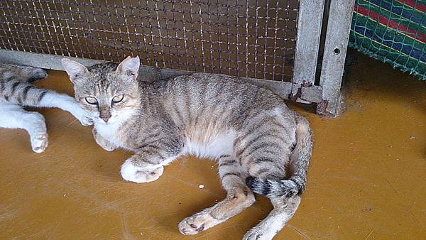 2013-09-07 10.29.47.jpg