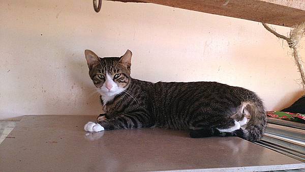 2013-09-07 13.42.25.jpg