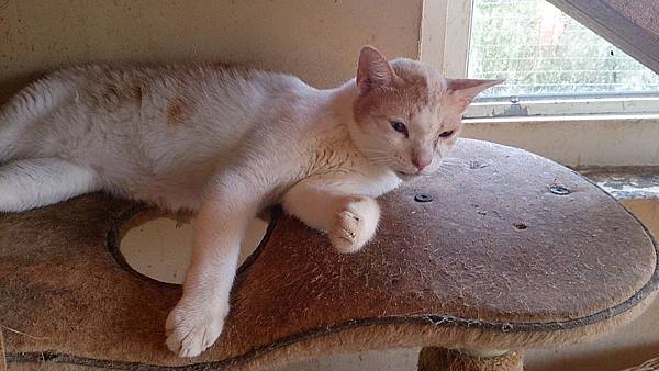 2013-09-07 13.43.20.jpg