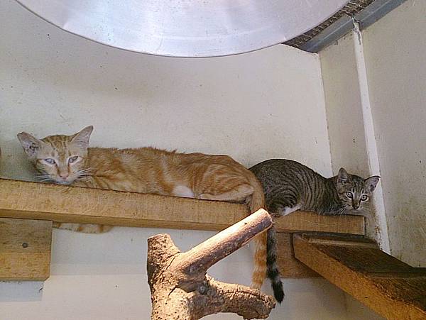 2013-09-07 13.43.27.jpg