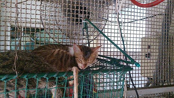 2013-09-07 13.43.49.jpg