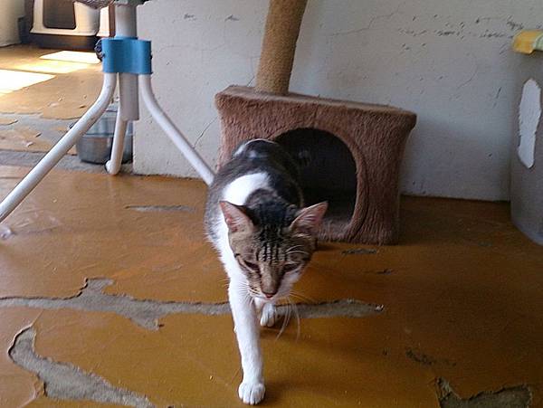 2013-09-07 13.43.56.jpg