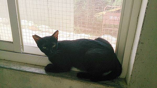 2013-09-07 10.31.41.jpg