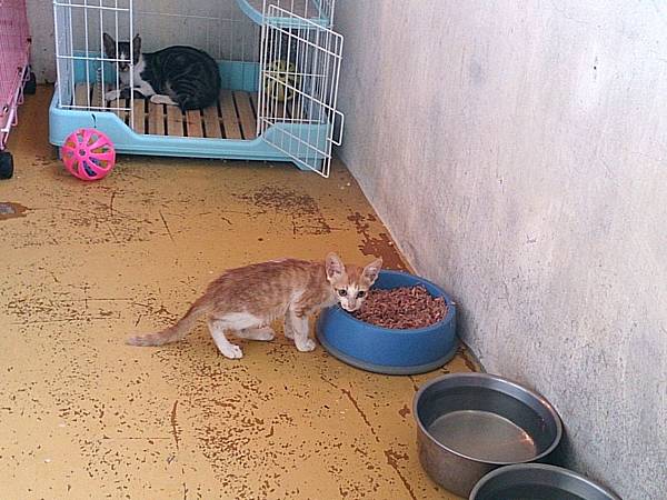 2013-09-07 10.31.51.jpg