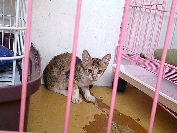 2013-09-07 10.33.00.jpg