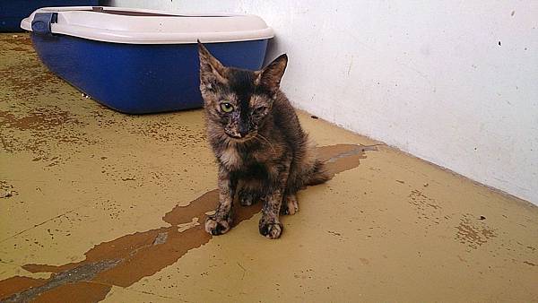 2013-09-07 10.33.19.jpg