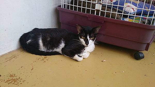 2013-09-07 12.20.39.jpg