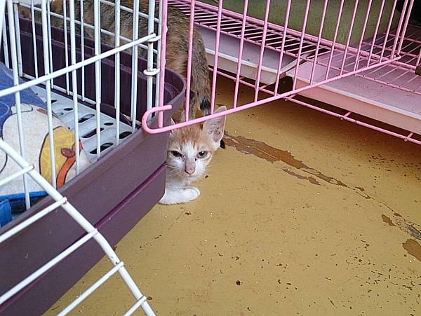 2013-09-07 12.21.06.jpg