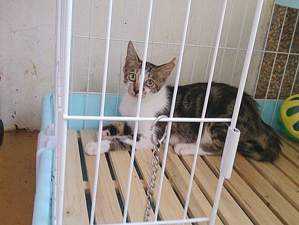 2013-09-07 12.21.14.jpg