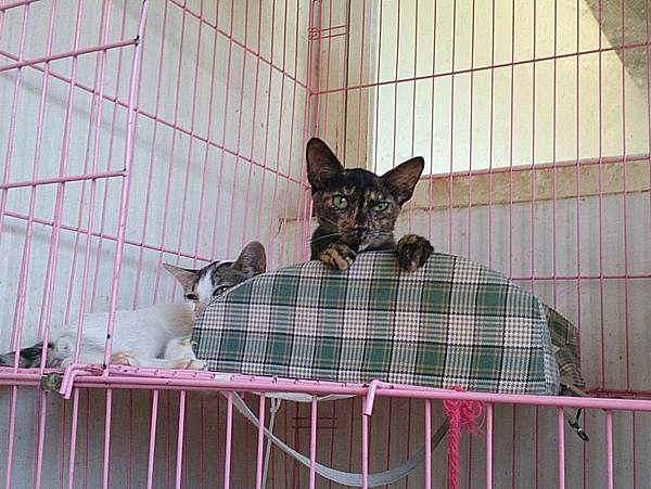 2013-09-07 12.21.20.jpg