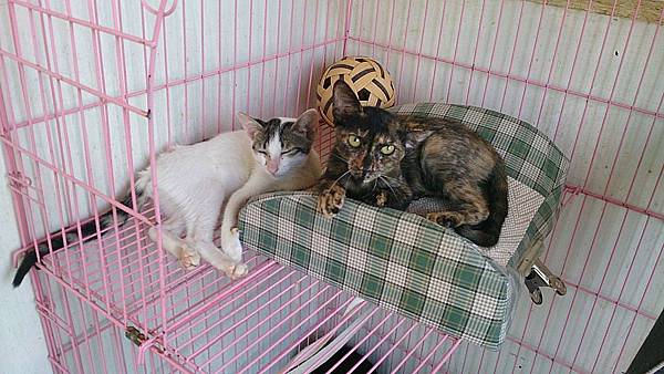 2013-09-07 12.22.02.jpg