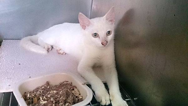 2013-09-14 11.11.21.jpg