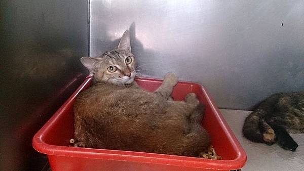 2013-09-14 11.11.34.jpg