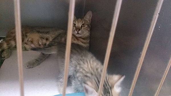 2013-09-14 11.12.48.jpg