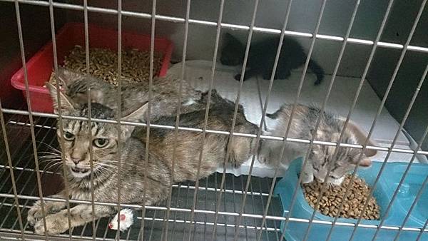 2013-09-14 11.13.27.jpg