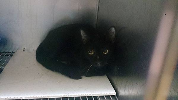 2013-09-14 11.13.51.jpg