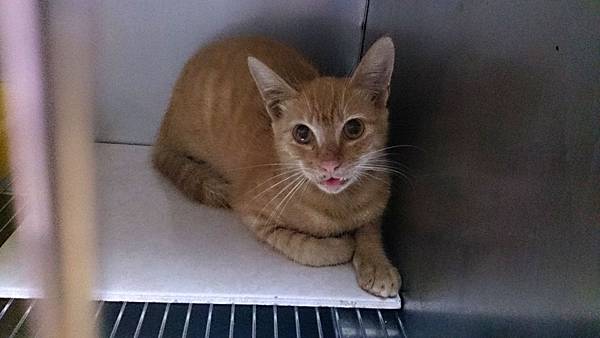 2013-09-14 11.14.02.jpg