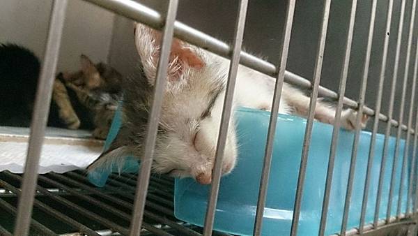 2013-09-14 13.36.45.jpg