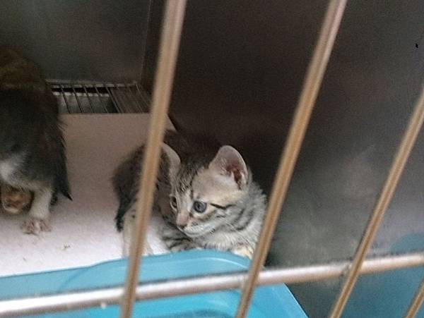 2013-09-14 13.37.11.jpg