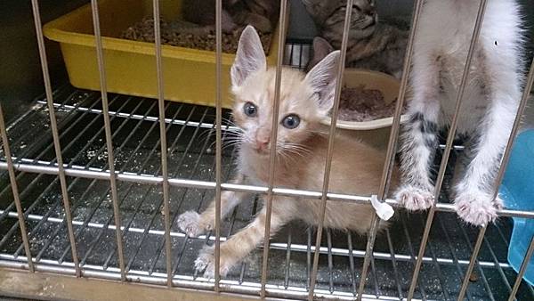 2013-09-14 13.38.22.jpg