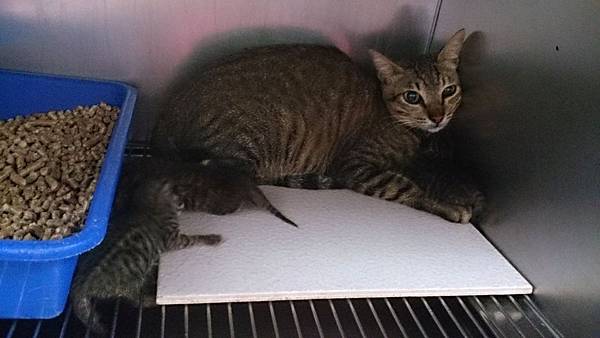 2013-09-14 14.00.11.jpg