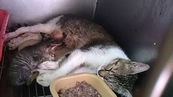 2013-09-14 14.46.44.jpg