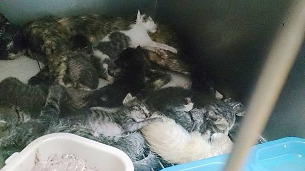 2013-09-14 14.50.08.jpg