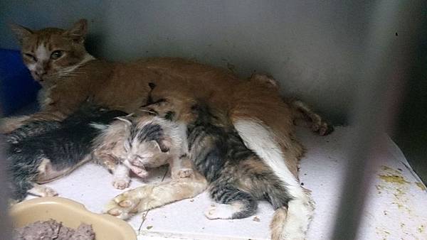 2013-09-14 15.01.11.jpg