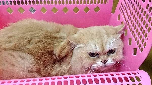 2013-09-14 15.00.44.jpg