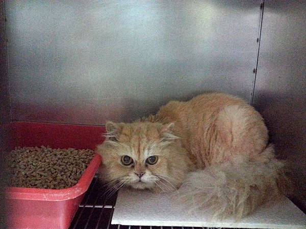 2013-09-14 19.35.55.jpg