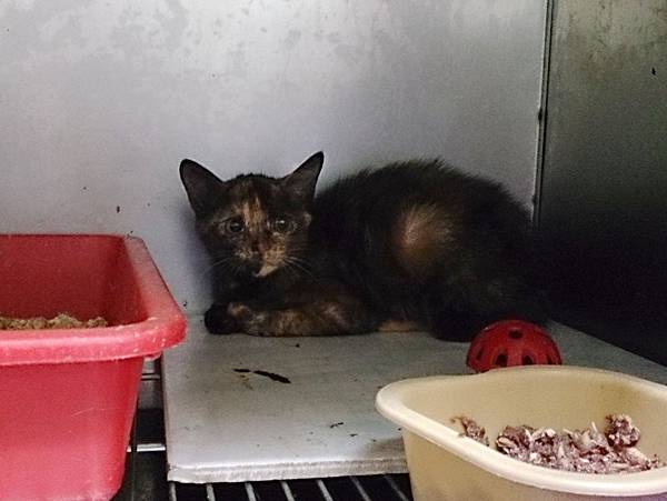 2013-10-19 10.32.32.jpg 2013-10-19 10.32.32.jpg