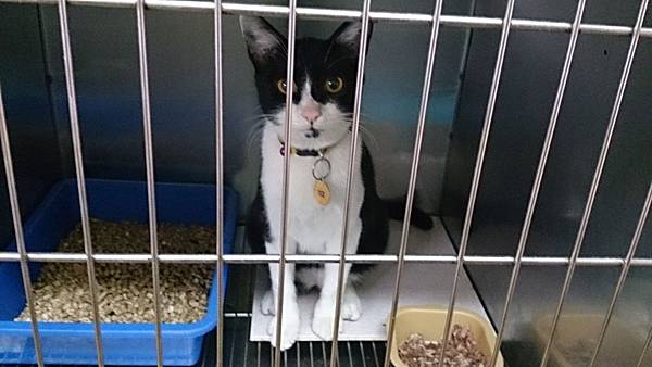 2013-10-19 10.32.51.jpg 2013-10-19 10.32.51.jpg