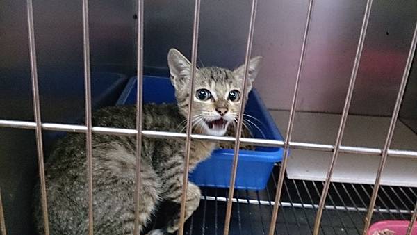 2013-10-19 10.33.11.jpg 2013-10-19 10.33.11.jpg